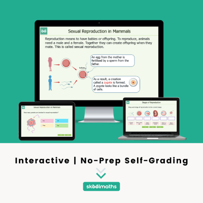 sexual reproduction in mammals activities