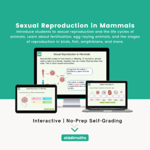 sexual reproduction in mammals