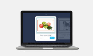 living and non living things