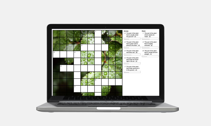 parts of a plant digital crossword puzzle