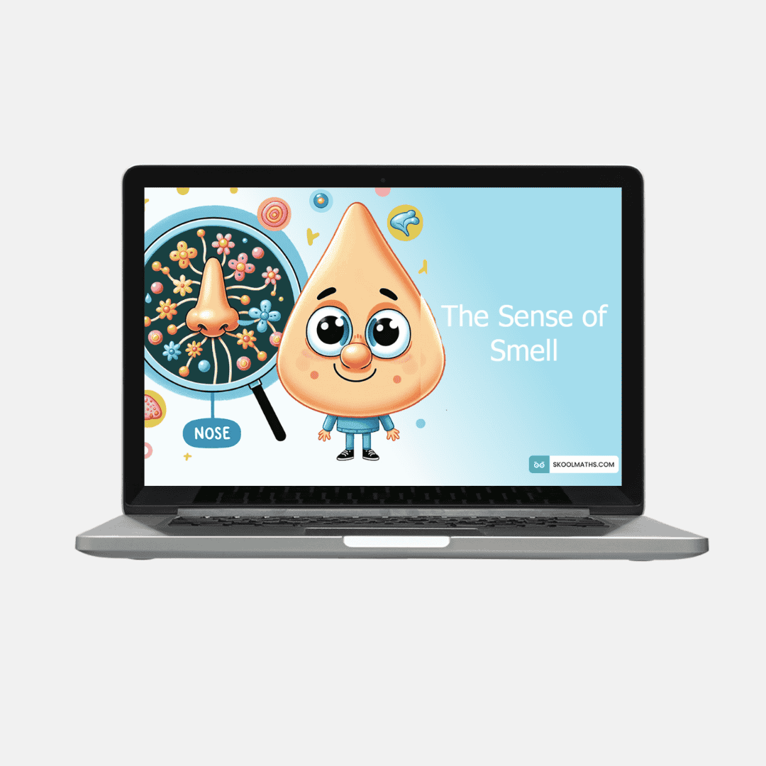 sense of smell science activities
