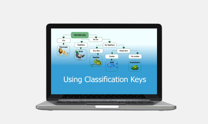 using classification keys