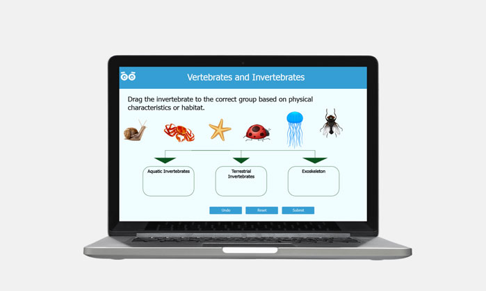 vertebrates and invertebrates