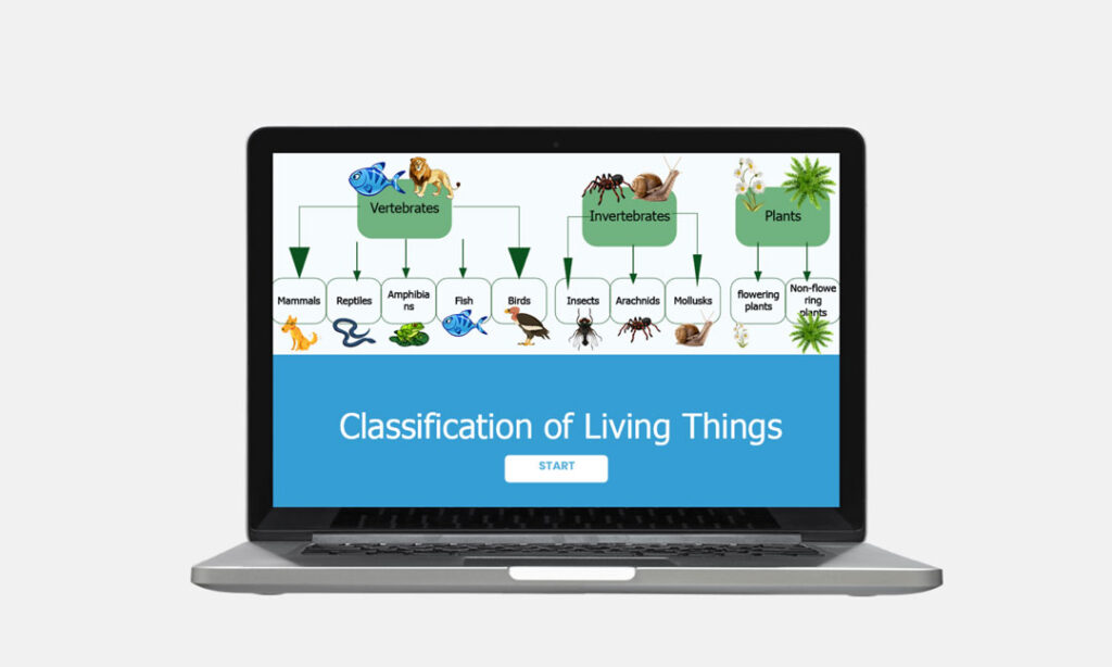 classification of living things