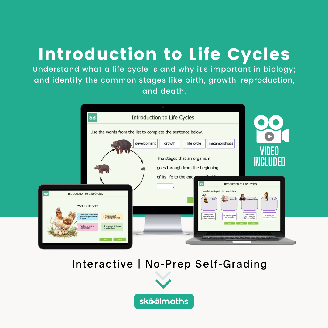 introduction to life cycles