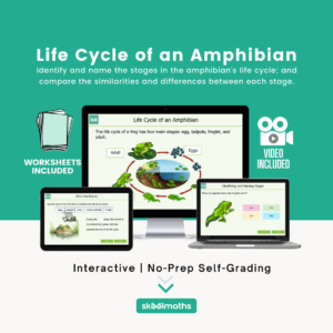 life cycle of an amphibian