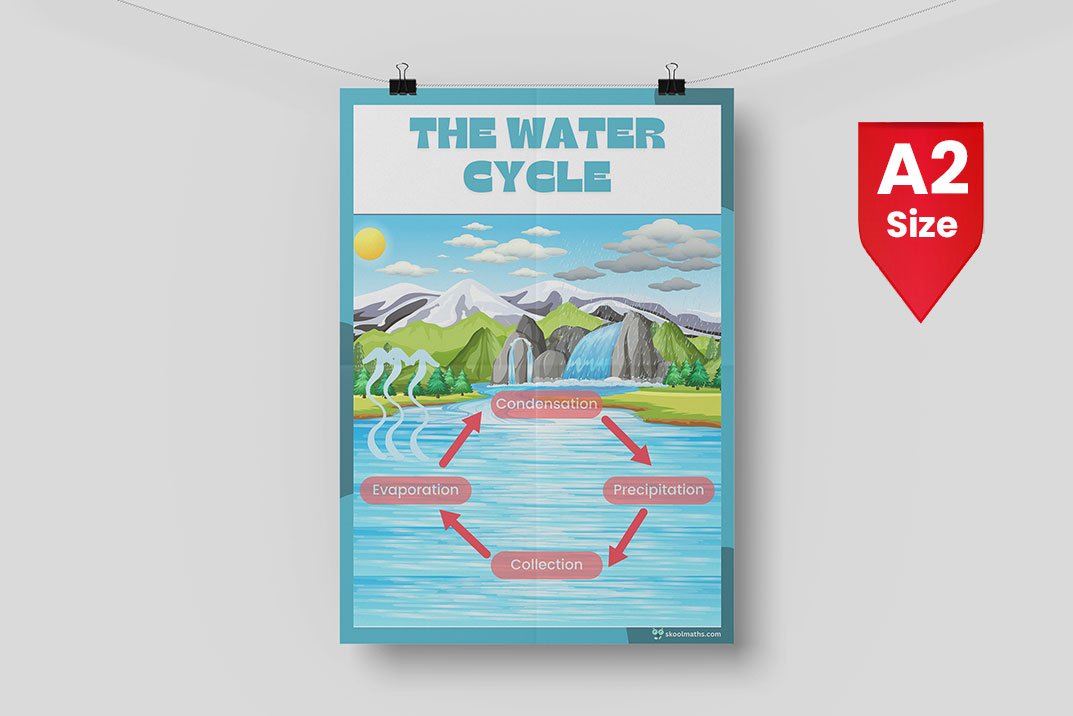 water cycle process chart