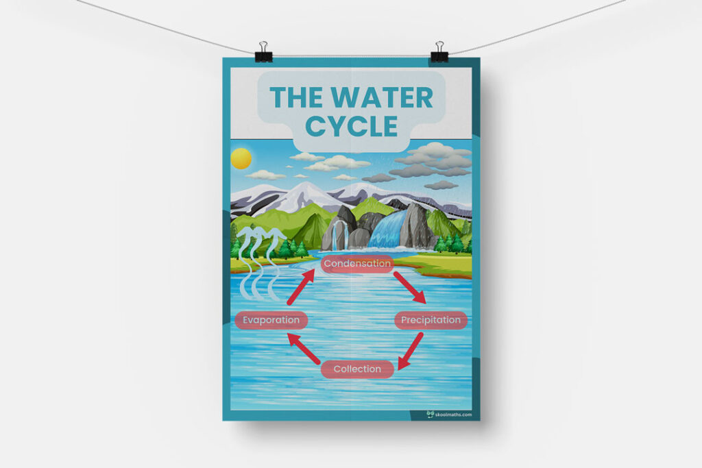 water cycle process chart