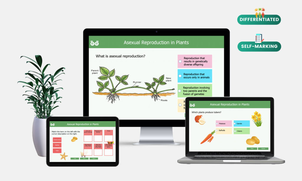 asexual reproduction in plants