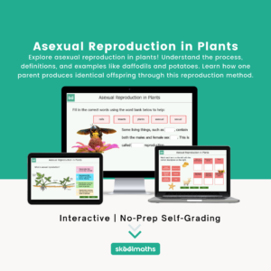 Asexual Reproduction in Plants