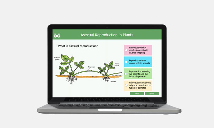 asexual reproduction in plants