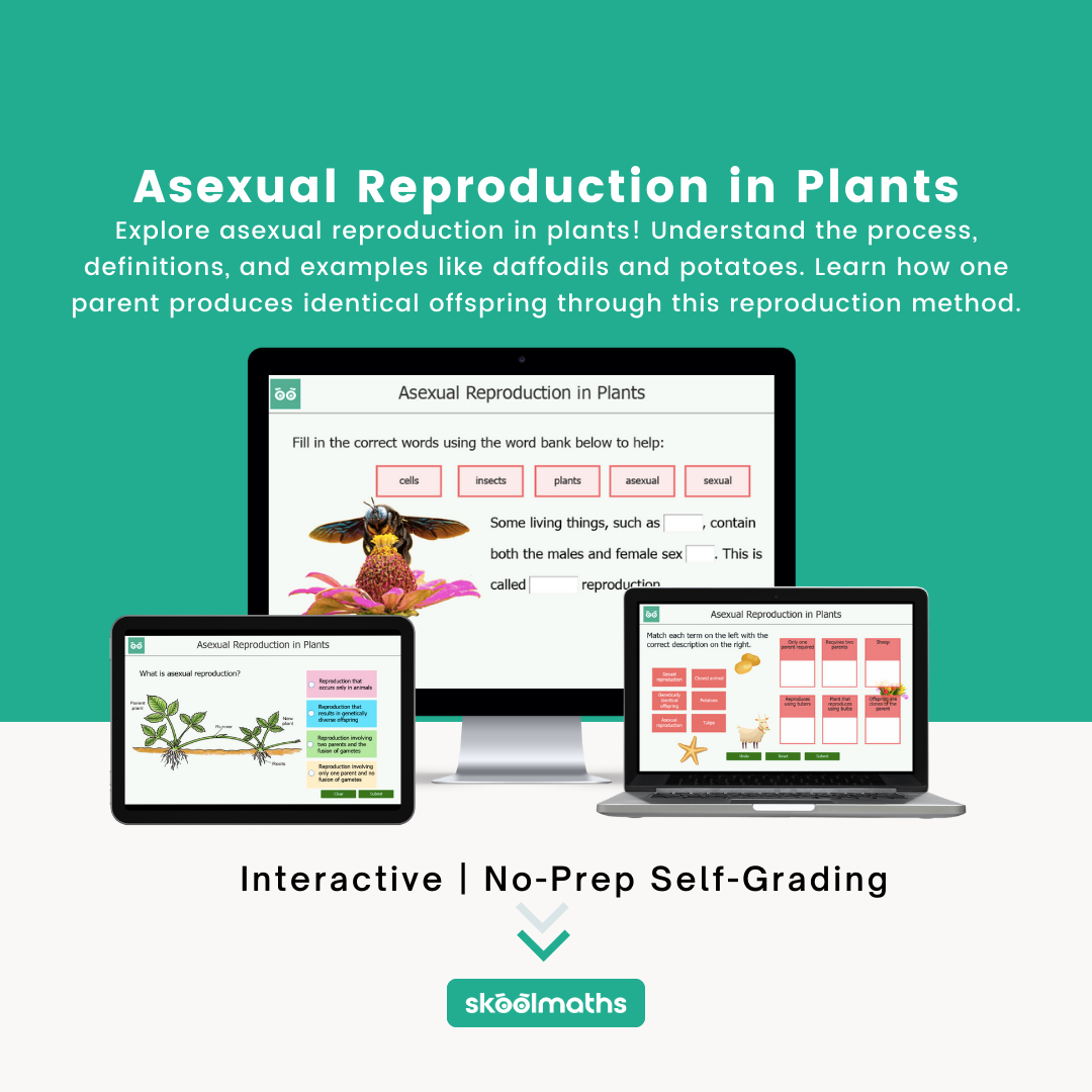 asexual reproduction in plants
