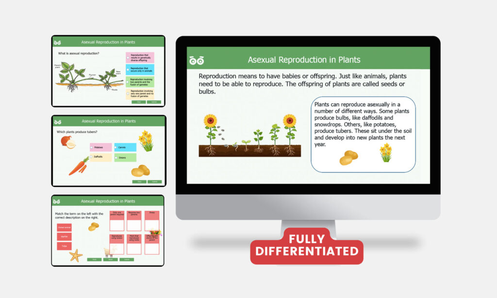 asexual reproduction in plants