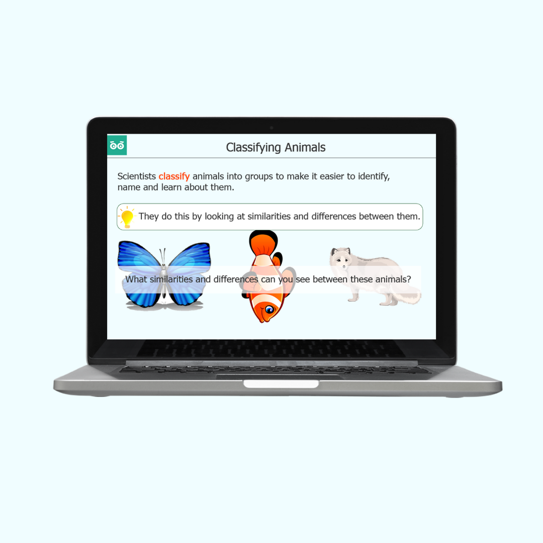 classification of animals