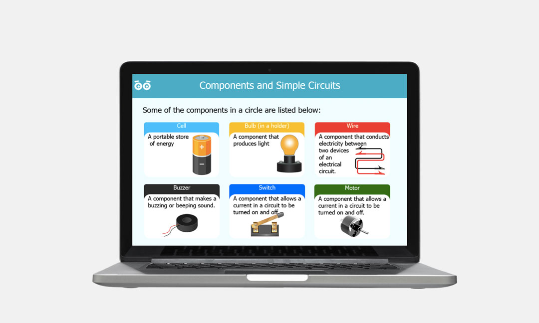 components and simple circuits