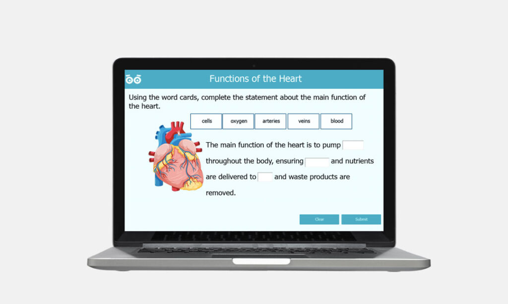 functions of the heart