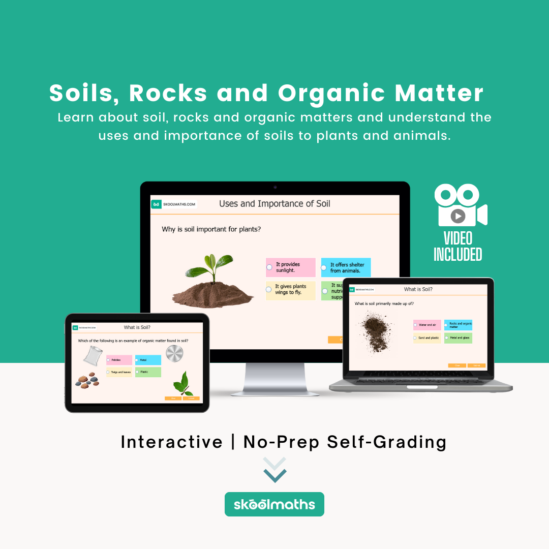 soils, rocks and organic matter