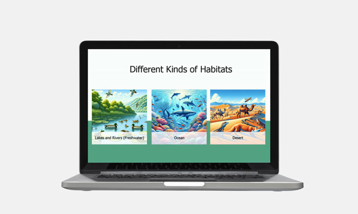 different kinds of habitats