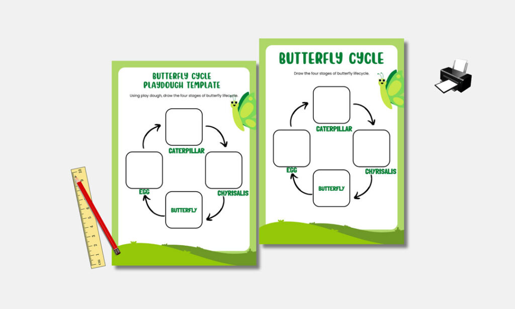 drawing stages of the butterfly lifecycle