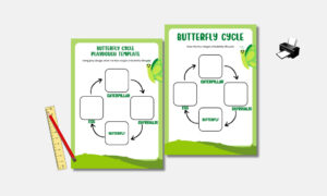 drawing stages of the butterfly lifecycle
