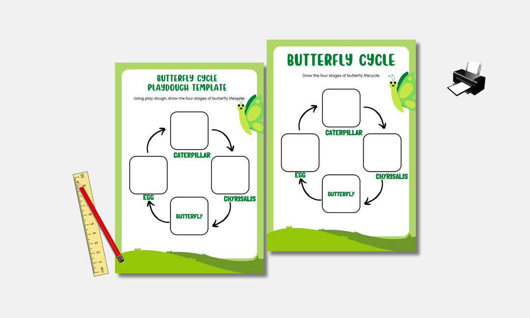 drawing stages of the butterfly lifecycle