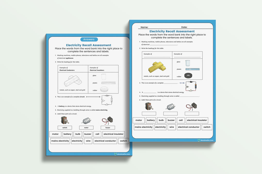 electricity recall assessment