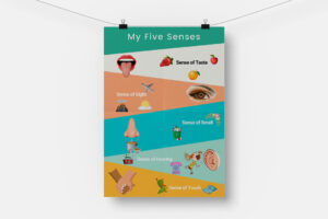 my five senses classroom poster