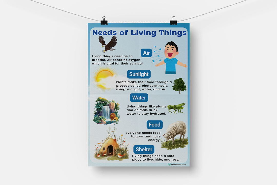 the 5 basic needs of living things