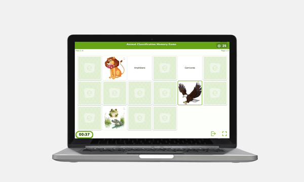 animal classification memory game