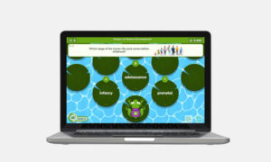 stages of human development