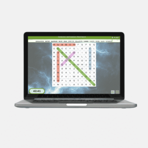 conductors and insulators word search game