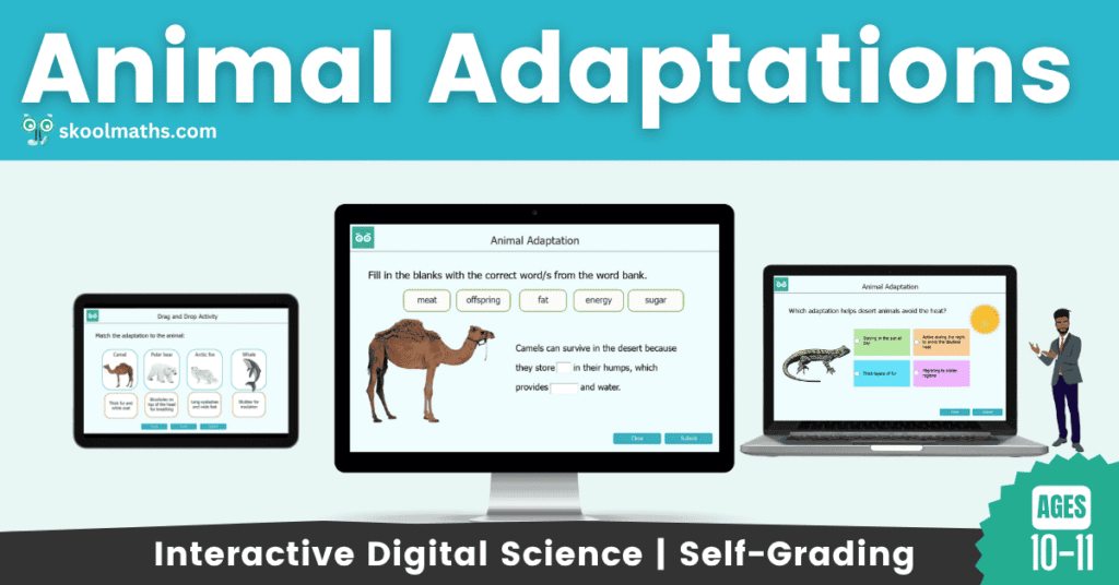 animal adaptations