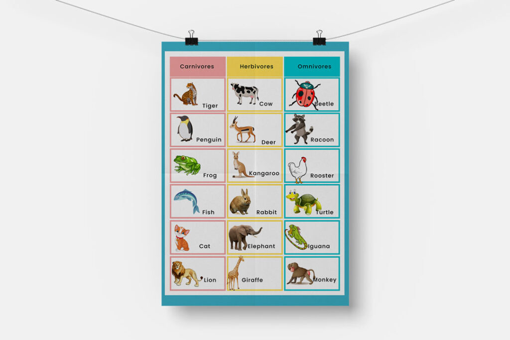 herbivores, carnivores, and omnivores poster