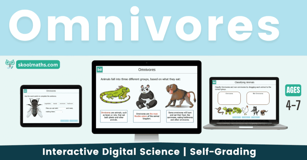 omnivores ks1 lesson and activities