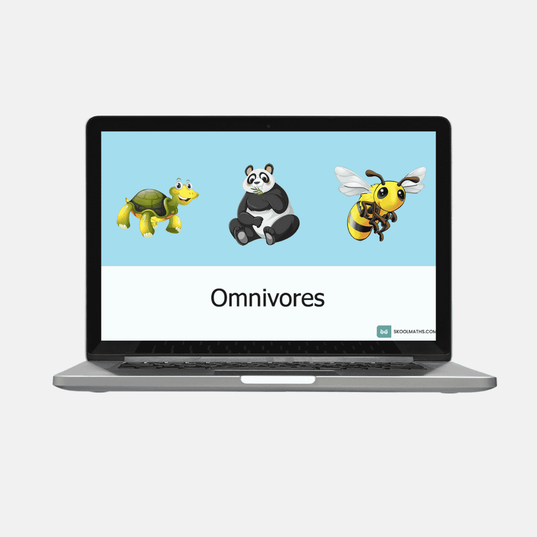 omnivores self grading activities 3