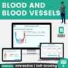 Blood Vessels: Arteries, Veins & Capillaries | Interactive Digital Science Lesson & Self-Grading Activities