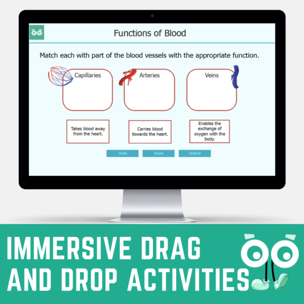 blood vessels: arteries, veins & capillaries | interactive digital science lesson & self grading activities