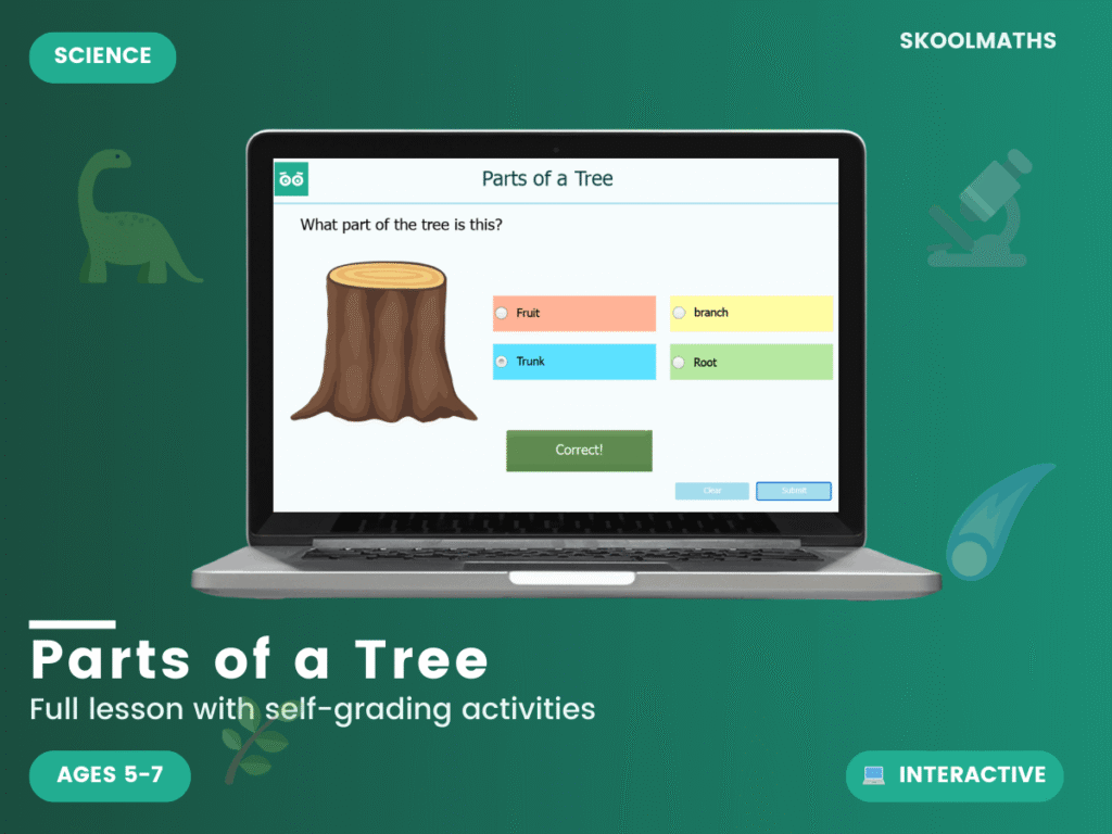 Identifying Parts of a Tree Interactive Activities