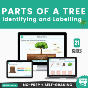 identifying parts of a tree interactive activities