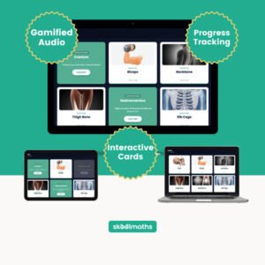 skeleton and muscles flashcards digital game