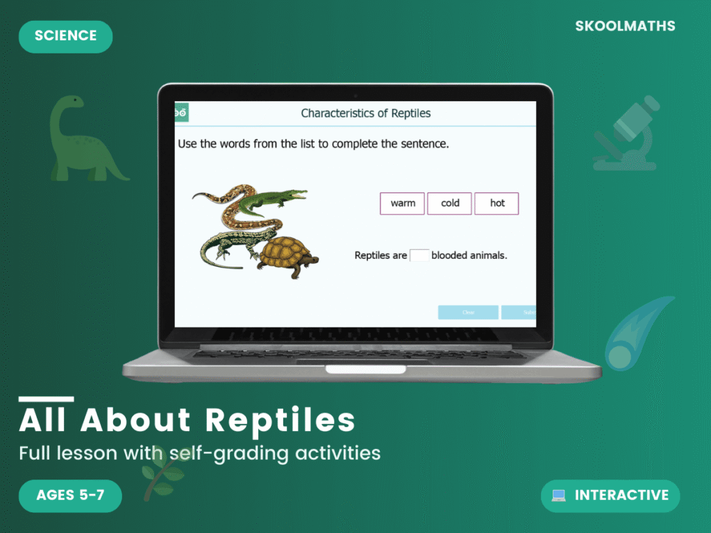 What are Reptiles?