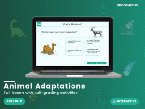 Animal Adaptations