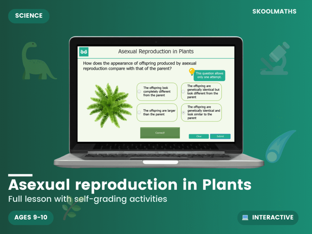 Asexual Reproduction in Plants
