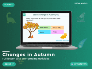 Seasonal Changes in Autumn