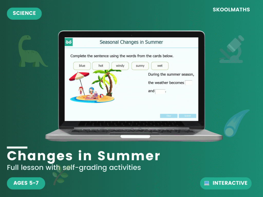 Seasonal Changes in Summer