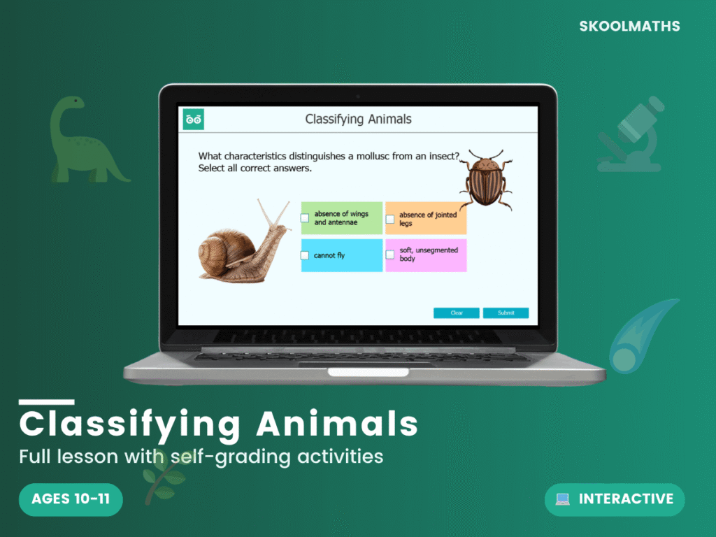 Classifying Animals: Year 6 Science Interactive Biology Lesson & Animal Classification Activities