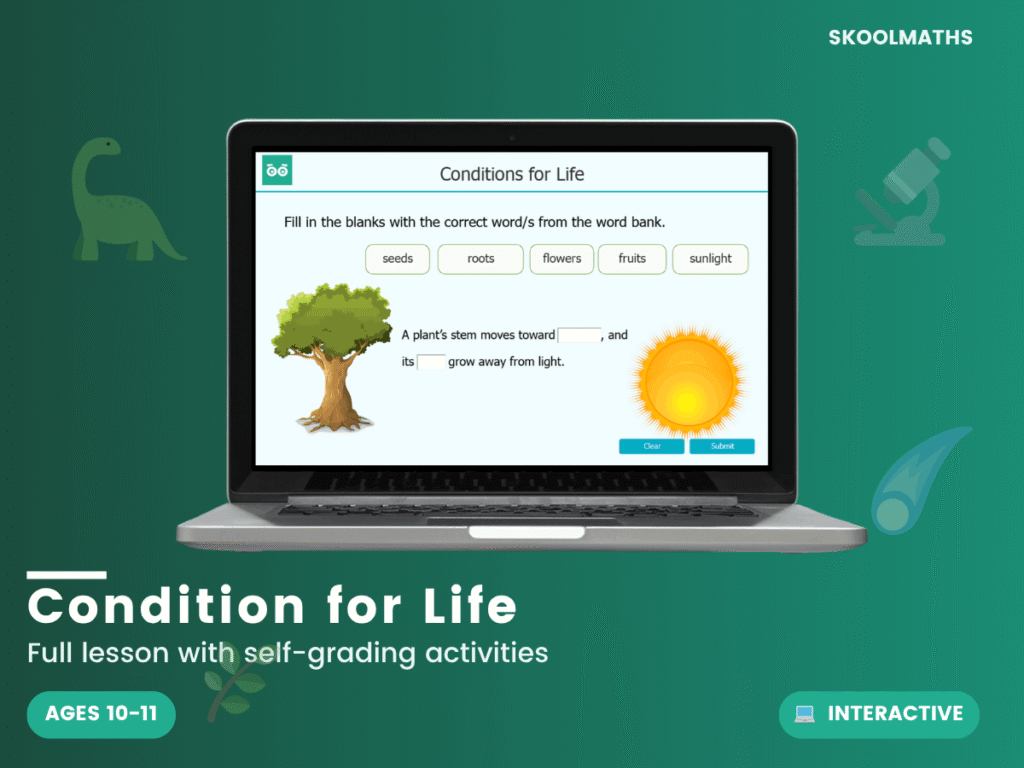 Conditions for Life: Year 6 Science Interactive Biology Lesson & Living Things Activities