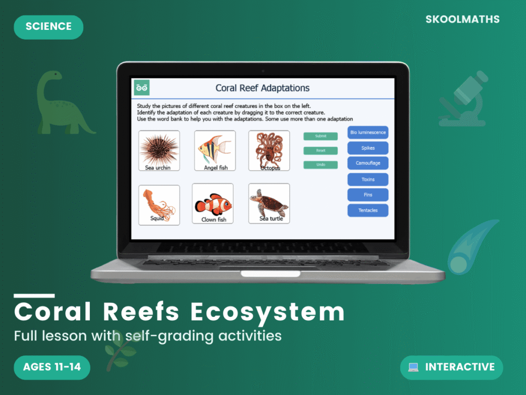 KS3 Biology: Coral Reef Ecosystems – Interactions, Interdependencies & Competition