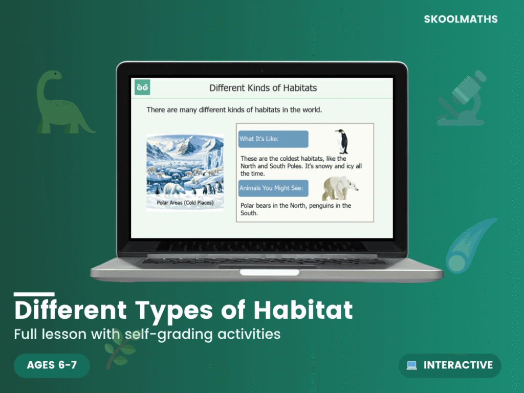 Different Kinds of Habitats