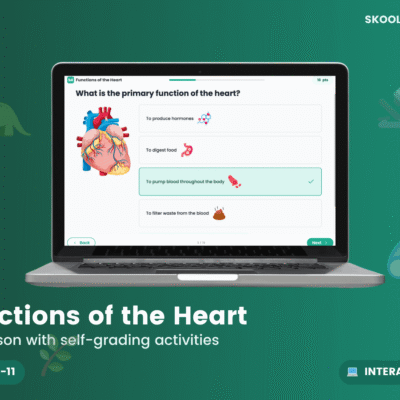 Parts and Functions Of The Heart — Interactive Lesson (Year 6)